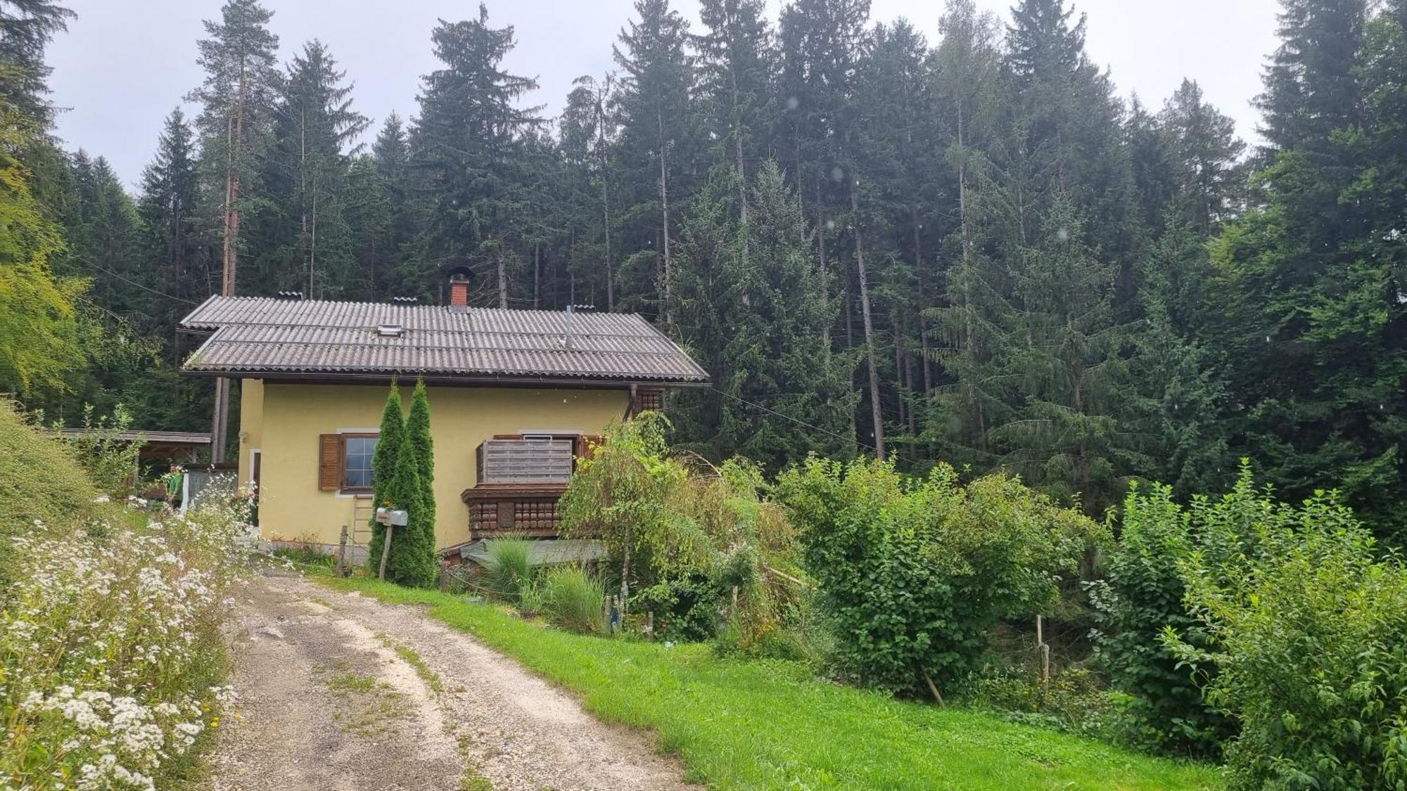 Fridas Place - Der Blick Ueber Ganz Villach - 160 M2 Ferienoase - Ganzes Haus Bis Zu 8 Personen Eksteriør bilde